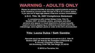 Client Leona Dulce Fucking In The Couch With Her Piercings – Seth Gamble